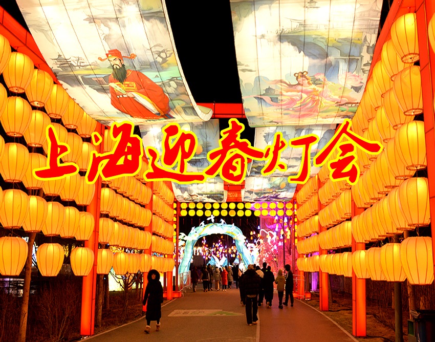 腾飞灯会制作公司设计制作上海迎春灯会亮灯了
